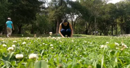 Brown rats in New York City may be evolving smaller rows of teeth. Tiny fish across the East