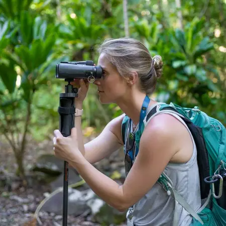 Light kit, immense photos 
KICKSTARTER.COMLIGHT-PORTABLE-MONOPOD
Trans