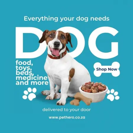 PETHERO.CO.ZA
Buy dog products
Everything your dog needs
Shop Now
Everything your