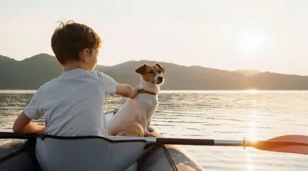 There is still plenty of accommodation in the UK for people and dogs for the last fe