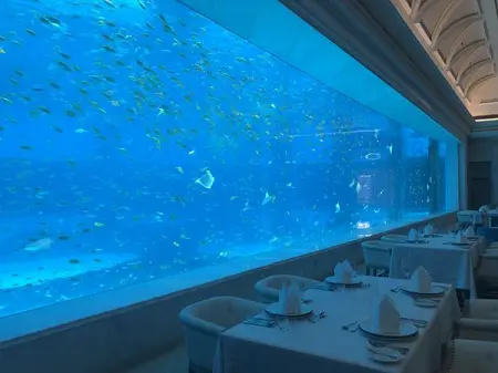 Dine with the fish
Create a Theme for Your HotelRestaurant---Acrylic Viewing W