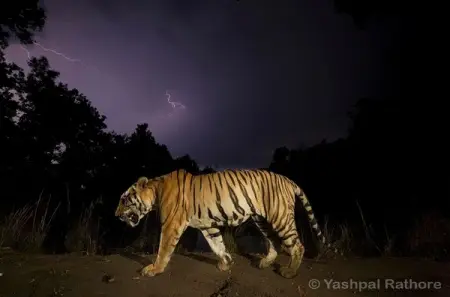 Yashpal Rathore is one of 26 photographers whose stories feature in our COP26 photography 