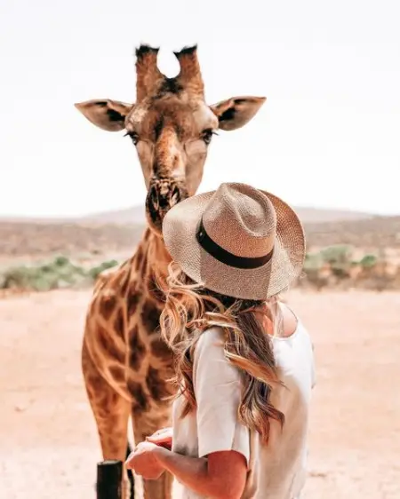 Giraffes are my favourite type of people. 

And Gustav is up there as my new favourit