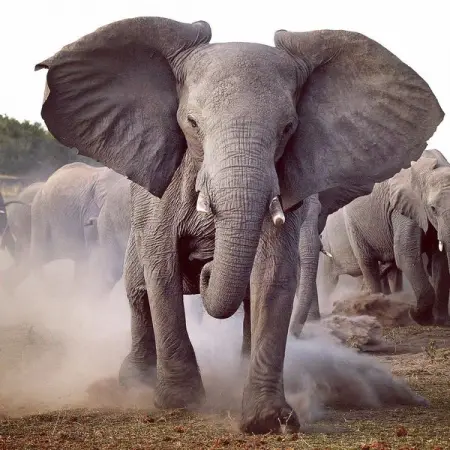 A business event this weekend you should not miss

__Unstoppable Africa!

The