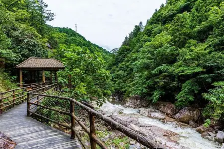 Walking into the Baima Grand Canyon along the green tree-lined path, en