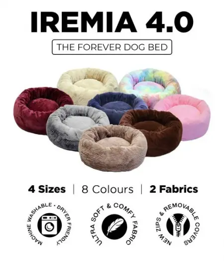 Dont settle for an uncomfortable dog box, an average over-priced flat dog