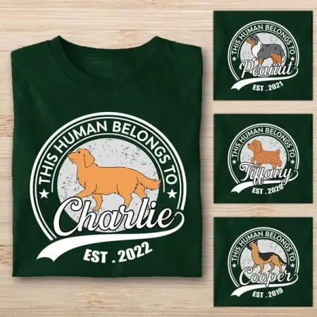 Dogs  come into our lives to teach us about pure love. We treat them like our children

