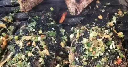 Fish Market
  
Fish Market
Send Message