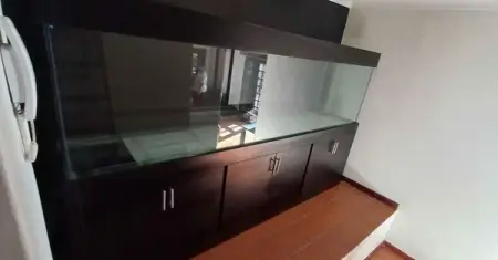 Fishtanks custom made 12mm glass - R1,000.00

We build big and small fis