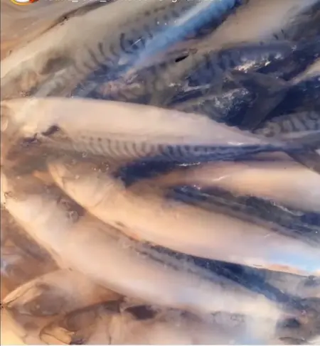 Original Titus fish.
INSTAGRAM.COM
Royalbliss cakes and more
Visit Instagram 