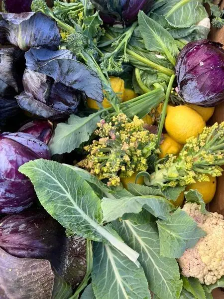 Our Farmers Market is held on Kruistementvlei Farm on Piket-Bo-Berg outside Piketberg ab