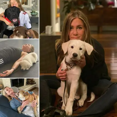 Here are some celebs and their four-legged furry friends that will make any