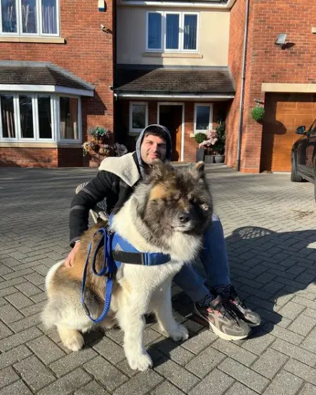 BEWARE OF DOG HE WANTS CUDDLES 

akitaworldwide akitaworld akitalove akitadog akitav