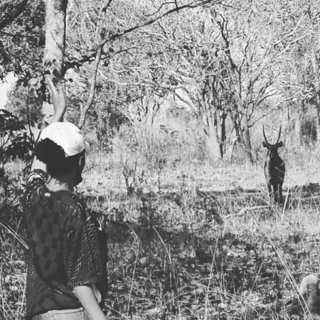 I spy, with my eye, a deer, so near....  Zambia 

safari safariphotography tours adventure w