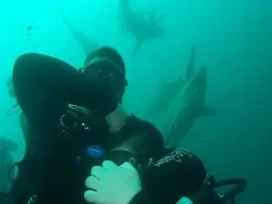 Outdoor bonding time fun, we have outdoor family time with a twist Under Water. Come join us