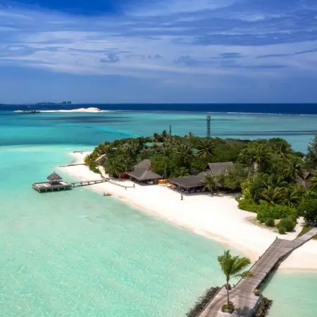 Since the world was struck down by the Covid-19 pandemic, we have all had the chanc