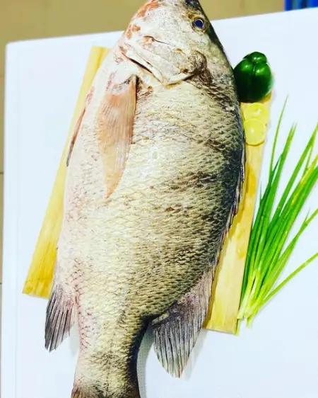 INSTAGRAM.COM
Send Message
 