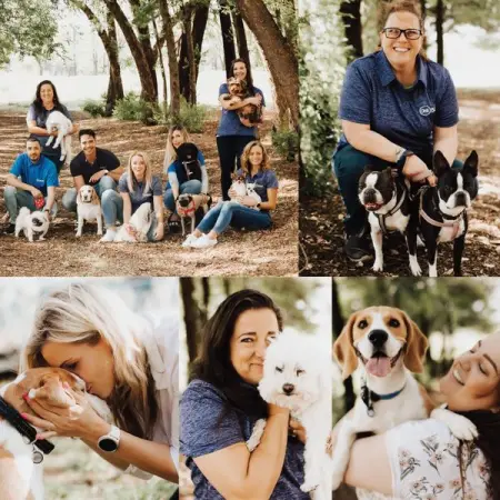 Our Pet Insurance is built on Trust and Tummy Tickles, so you know that your Fur 