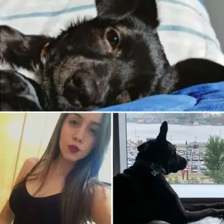 This woman brought home what she thought was going to be her new best friend, until s