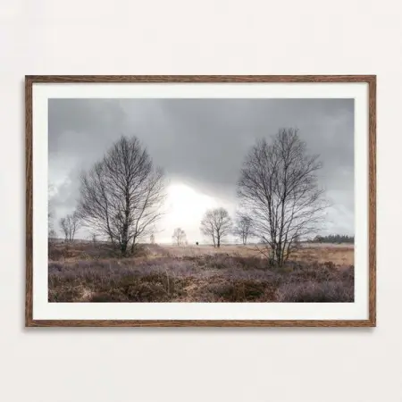 THOMASFRENKEN-GALLERY.DE
All My Art is Limited Edition Only
Delivered Ready