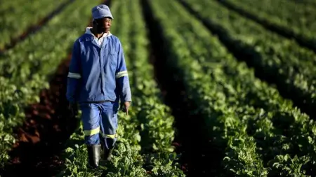 Government recently announced its intention to make 700 000 hectares of la