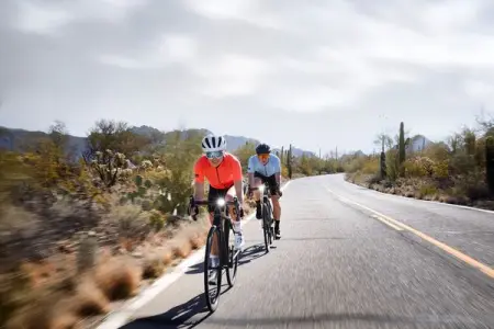 TREKBIKES.COM
33 less colisions
Stand out
Learn More
Stand out