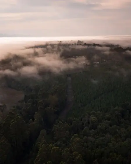 We all know ElginValley produces some of the best apples on the planet  but 