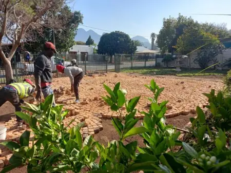 HALF BRICK PAVING AT LOW COST - R120.00

WE OFFER YOU A WIDE RANGE VARIETY OF COST E