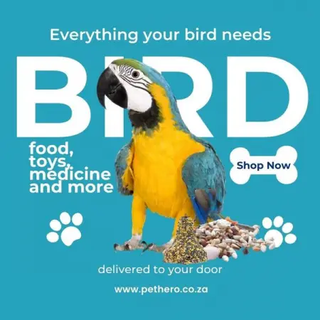 PETHERO.CO.ZA
Buy bird products
From seed to suet
Shop Now
From seed to suet
