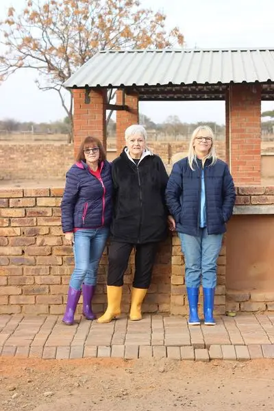 The Animal Ambulance is a 24 hour emergency ambulace service which transports y