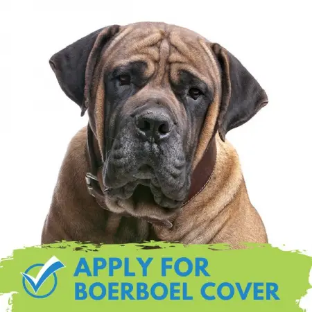 COVERSEARCH.CO.ZA
Insurance for Boerboels
Get Quote
 