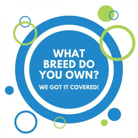 COVERSEARCH.CO.ZA
Find The Right Cover
Get Quote
 