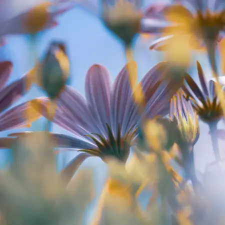 The September spring brings out the best in us all, from buzzing bees and wild 