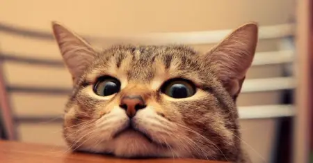 hello
Wtolux
Apparel
39,271 people like this
Like Page