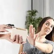 TRANQUILTYLIFE.COM
HALLOWEEN PRE SALE - 49 OFF Super Funny Crazy Prank