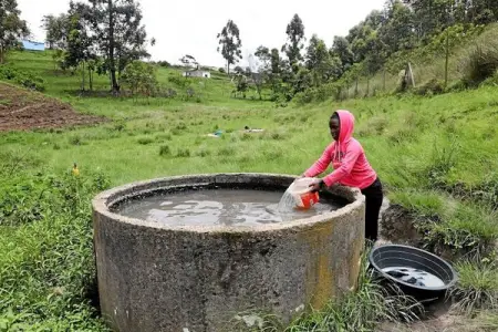 Allegations resurface of sabotage and tender collusion among private companies to 