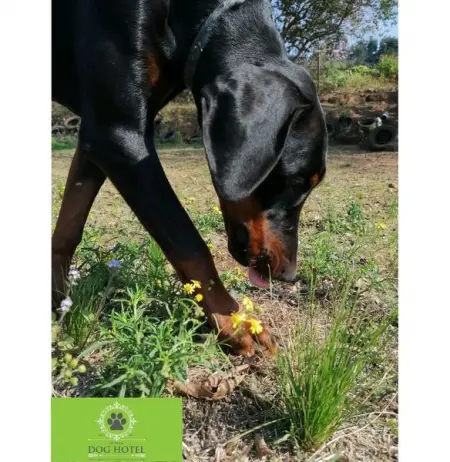 You are pawfection.

Have an amazing week!