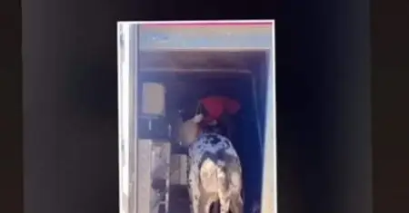 Pupparazzi - where every dog receives celebrity treatment!

Hey, we get it! Y