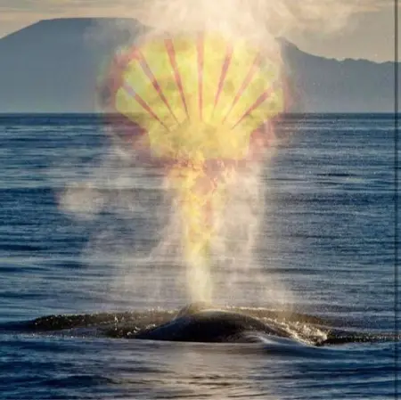 Shell has finally spoken  but only after being dumped by leading Eastern Cape supp