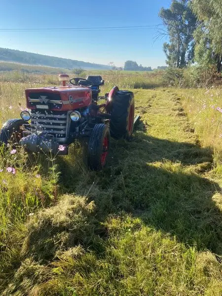 Grass cutting and plant hire mini plant 
We cut all types of grass, from golf 