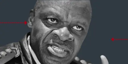 South Africa is facing a serious crisis in police management, state security and governm