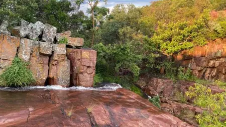 Bateleur Nature Reserve
Hike in the Waterberg!
Local  travel website, Wildlife