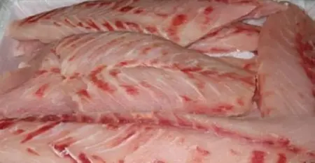 We sale All type of frozen food
Such as croacker fish Titus fish kpanla fish
Gizza