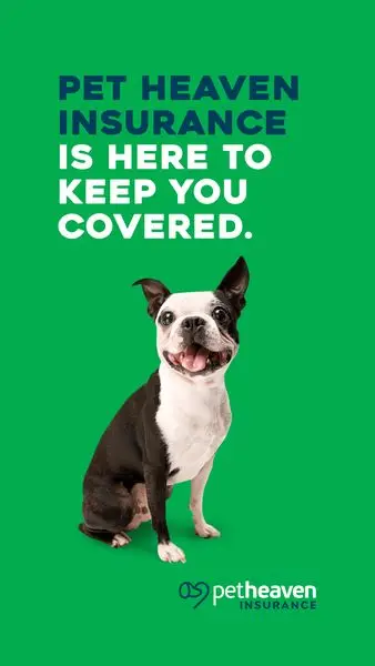 Pet Heaven Insurance has your pet covered! 

Our new insurance offering means more care 