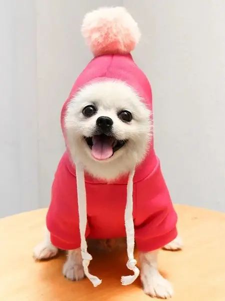 Each Item is designed for your Pets needs 
Shop fine selected products at exclusive discou