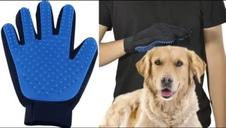High quality Gloves Hair Remover For Pets
HTTPSPETNCARESTORE.COM
High Qu