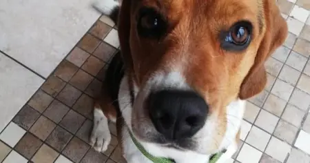 Luxury Dog Grooming  Retail products
API.WHATSAPP.COM
Coco Canal Luxury Dog Groomi