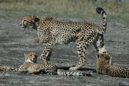 Looking for a long term business partner  investor

A reputable fully r