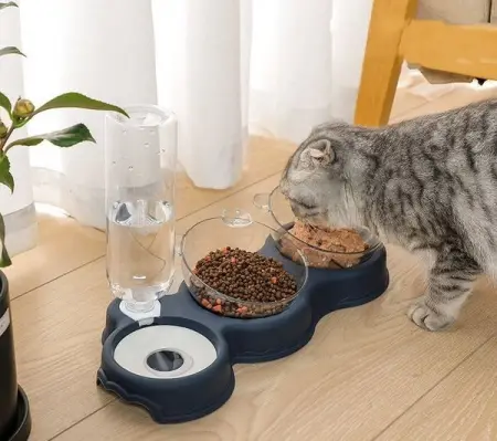 A pet store with everything you need 
Shop fine catsstar Exclusive discount  httpsbit.ly3Bs7