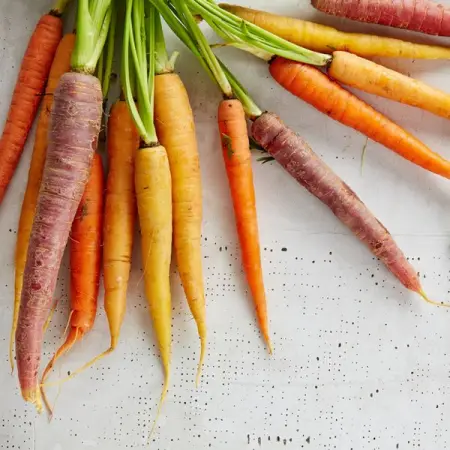 POTSHACK.NETBLOGSHOUSEHOLD-GARDEN
Simple Veggie Gardening Tips For Beginners
Learn More
 